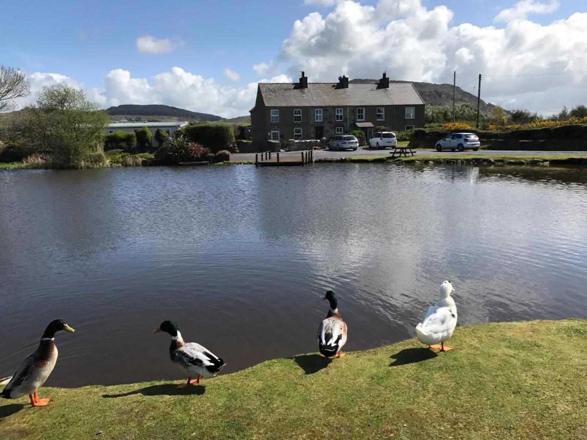 2 Sea View Cottage Pwllheli Dış mekan fotoğraf